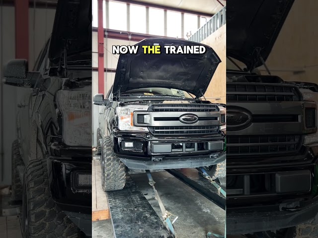 Supercharged F-150 Dyno Crank vs Wheel HP #ford #f150