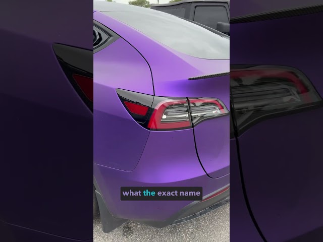 Should Tesla Have Made This Color?