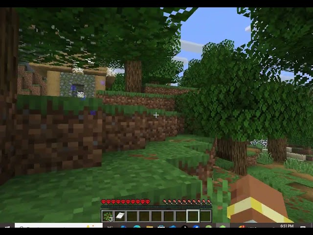 playing mineraft