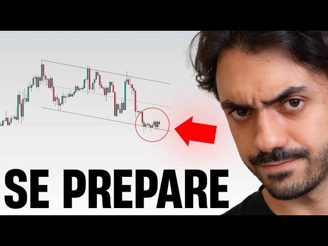 GET READY FOR THE CRYPTO WEEK: THE FINAL SURGE