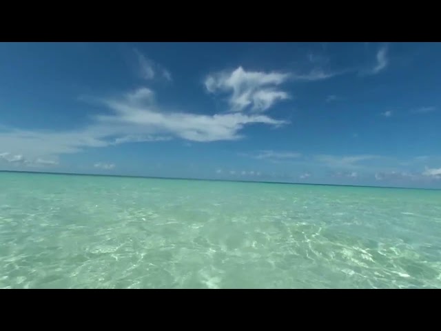 Tranquil Beach vibes in 3D