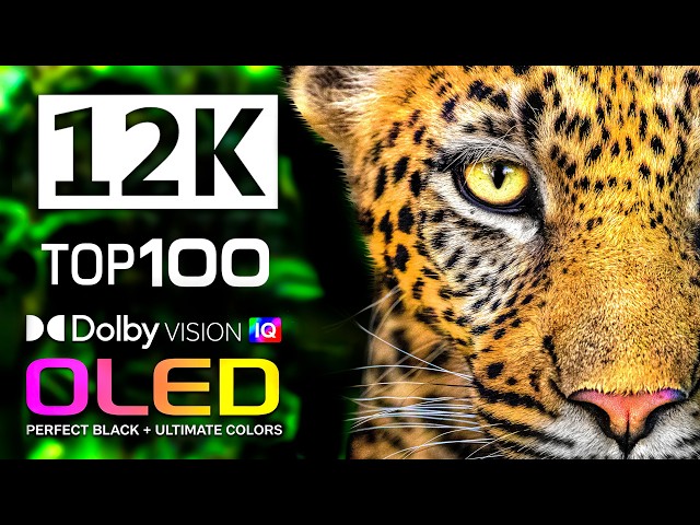 12K HDR 60FPS | TOP 100 Animal Planet & Wild Animals | Beauty OLED TV | Dolby Atmos • IMAX Enhanced