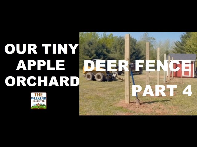 Our Tiny Orchard Series - Part 4 - Installing Deer Fencing