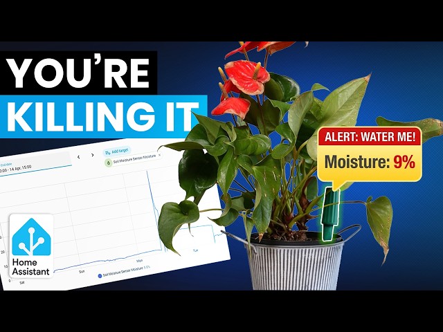 This Zigbee Sensor Finally Stopped Me Killing My Plants