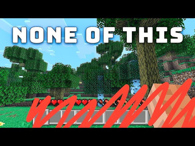 Minecraft, But I Can Only Use Clear Display