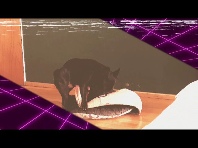 Marvin in love