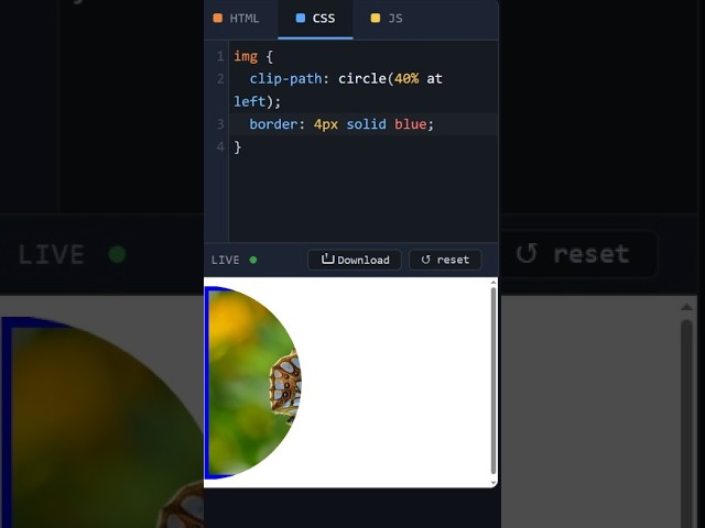 HTML Image Clip Path Semi Circle #coding #htmltutorial #csstutorial