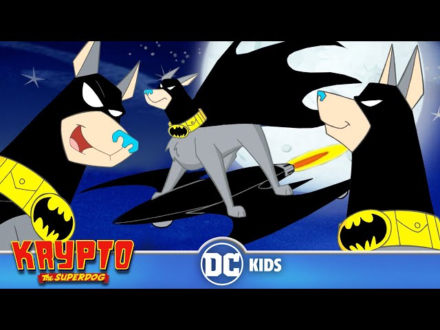 Krypto The Superdog | The Best Of Bat Hound | @dckids