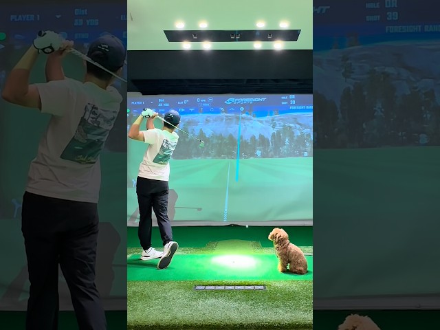 My best golf partner 🐶🤗      #golfdog #cutedogs #golflife #golfshorts #doglife #golfer #golfswing