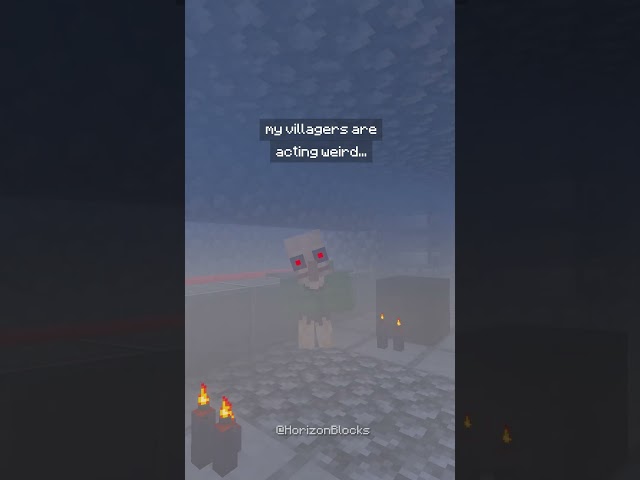 my villagers are acting weirdβ¦ π³