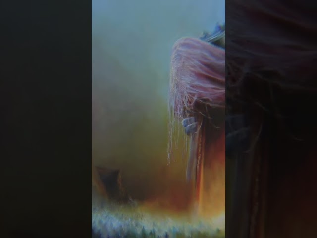 Five Years Ago Today BELL WITCH Released The DOOM METAL Milestone “Mirror Reaper”