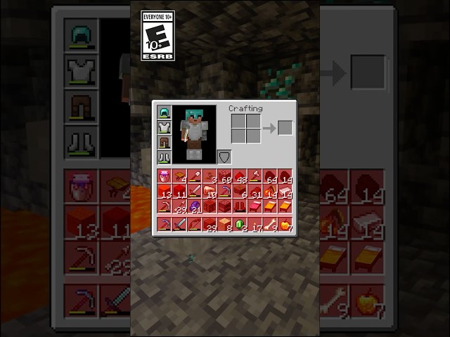YOUR INVENTORY IS FULL