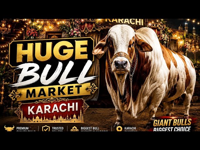 Biggest Bulls in Karachi | Jaffar Cattle Farm |Day with me |Eid ul Adha 2026