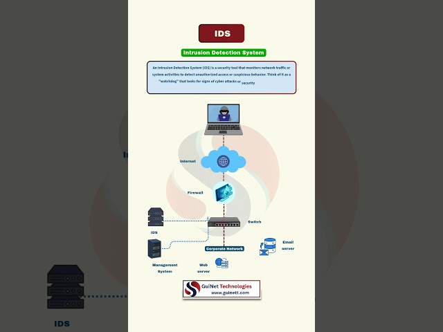 What is IDS?  | Intrusion Detection System Explained