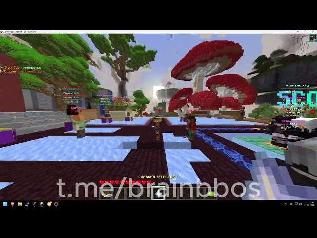 BRAIN C2 VS MINECRAFT SERVER | STRONG AND CHEAP C2 & BOTNET 2026 | BEST ON MARKET!