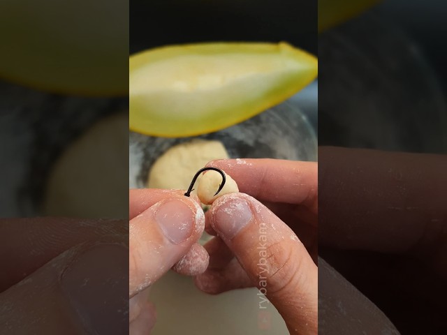 🔥Making Melon Carp Bait That Actually Works! #shorts