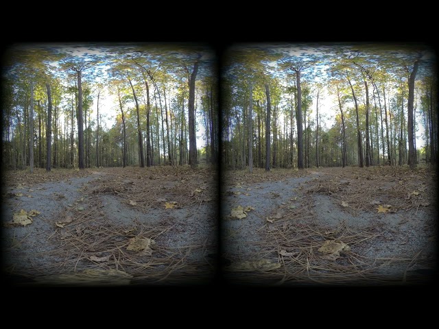Stereoscopic 180° 3D VR Virginia Beach walking path