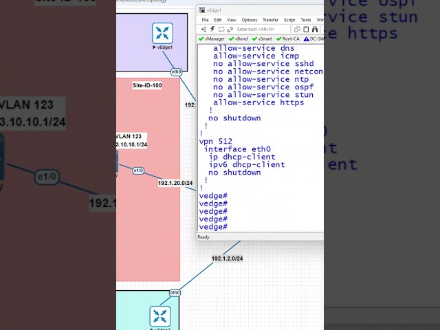 12.How to check vEdge Configuration in SD WAN?