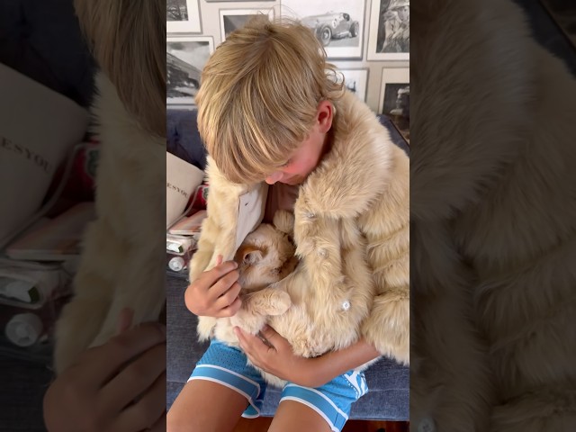 🤣😳YOU WONT BELIEVE WHATS IN HIS COAT… #funnycats #funnycomedy #viral #cat