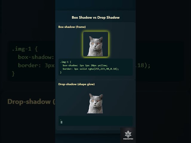 Box Shadow vs Drop Shadow in CSS