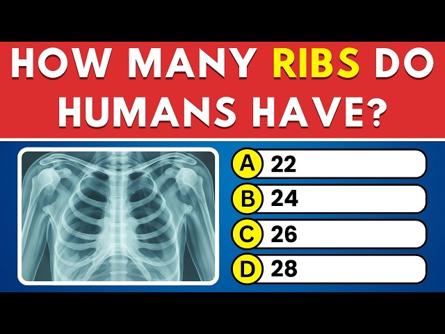 Test Your Human Body Knowledge 🧠 30 Quiz Questions 💪 Anatomy Trivia Challenge!