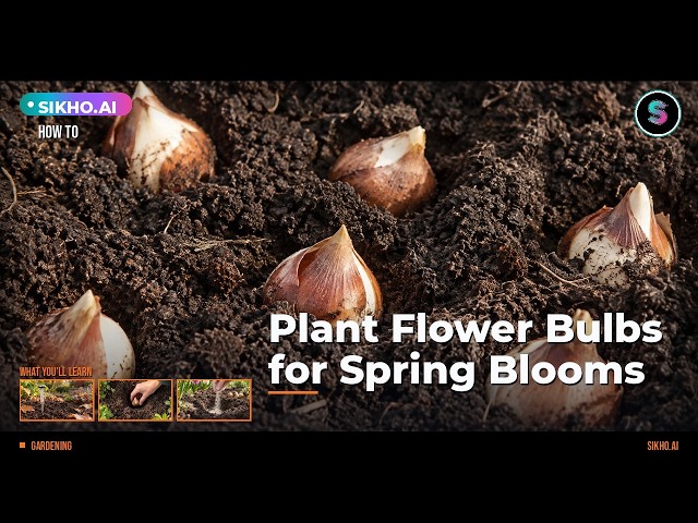 How to Plant Flower Bulbs for Spring Blooms Step by Step | Sikho.ai