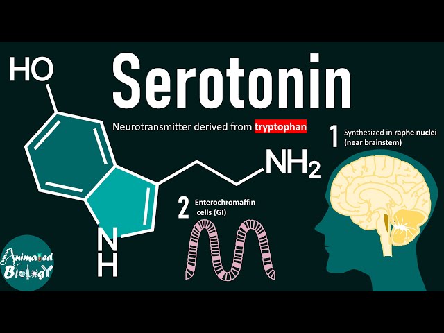 Serotonin Neurotransmitter Explained in 5 Minutes | 5-HT Pathway | SSRI