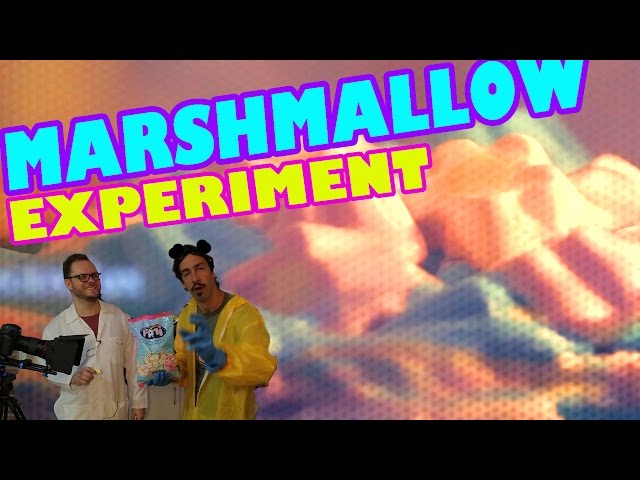 Marshmallow no Microondas