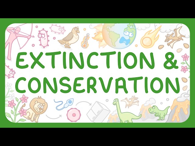KS3 Biology - Extinction & Conservation