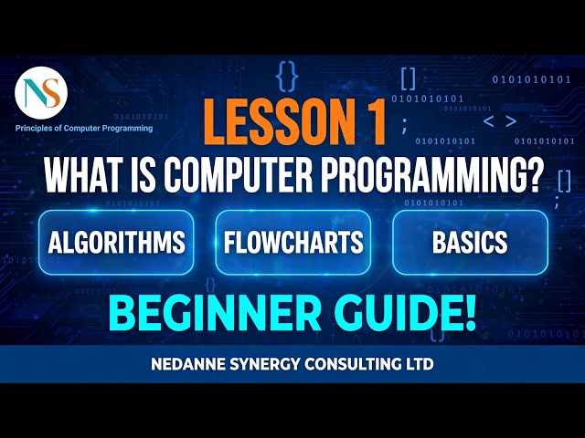 Lesson 1 - Principles of Computer Programming | OTHM Level 4 | NedanNe Synergy