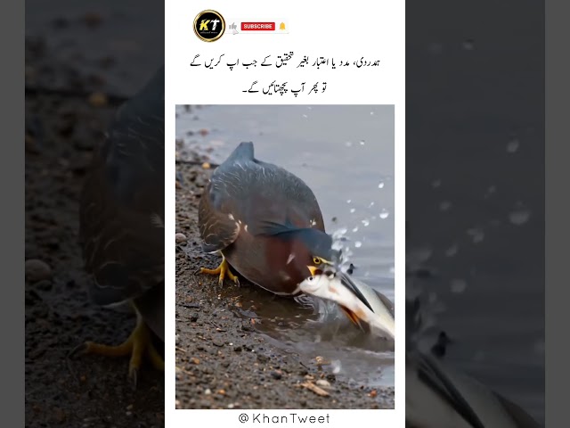 Hamdardi madat itebar bagher tehqeeq ke jb ap kryn ge tu pachtain ge.🥺💔