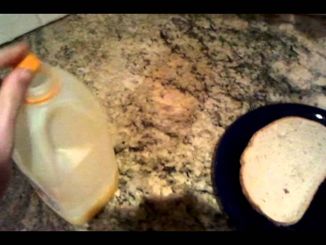 How to pack a balanced school lunch.