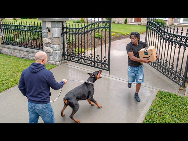 When Thieves Rob The WRONG House!