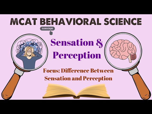 MCAT Behavioral Science: Chapter 2 - Sensation and Perception (1/3)