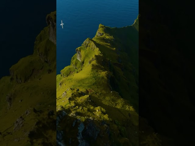 The rugged cliffs of Faroe