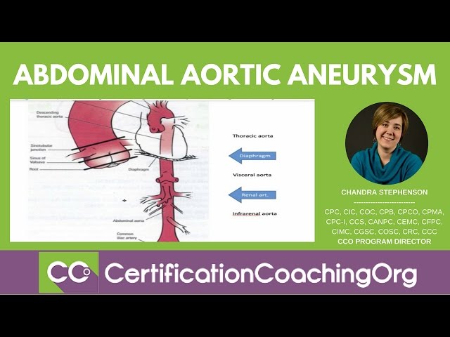 Abdominal Aortic Aneurysm Repair Coding | CPT Coding