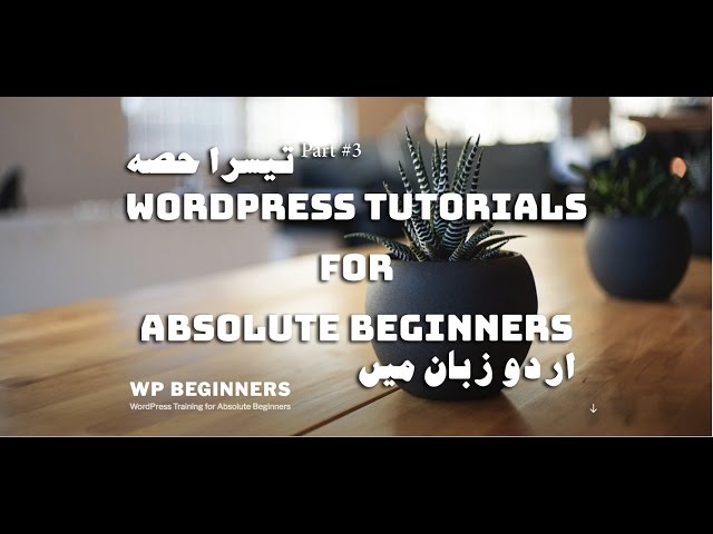[Part 03] WordPress Tutorial Series for Beginners in اردو / हिंदी: How To Use WordPress Themes Panel