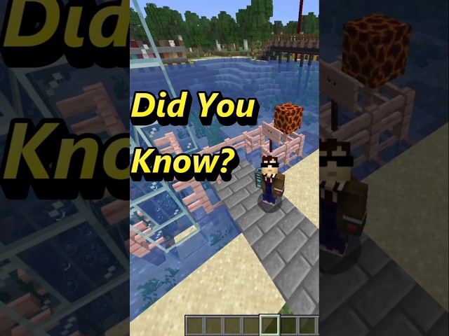 Did You Know Magma Blocks Can Pull You Down in Water in Minecraft #minecraft #didyouknow #gaming
