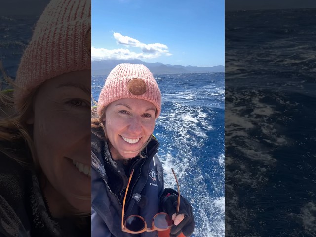 Trying to outrun storms with 50mph winds 🌊⛵️ #storm #sailing #catamaran