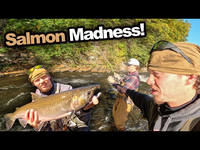 Salmon Fishing Was NONSTOP! (Salmon River, NY)
