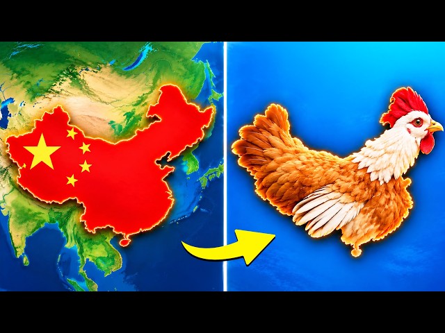 Countries That Look Like Objects