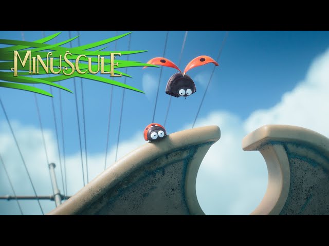 OFFICIAL TRAILER OF THE NEW FILM !