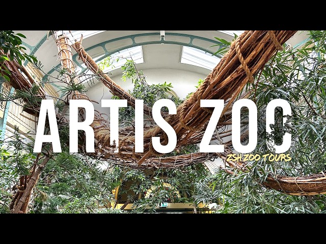 ARTIS Tour | The Beautiful Zoo of Amsterdam!