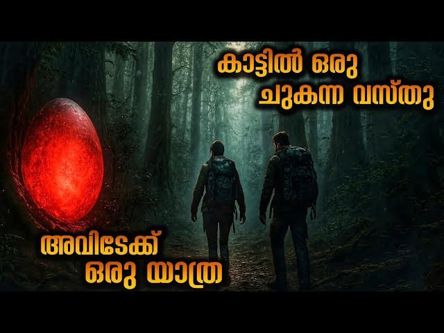 കൊടും കാട്ടിൽ ഒരു ചുകന്ന വസ്തു അത് അറിയാതെ അവിടെക്കൊരു യാത്ര 😳 @movieflixmalayalam