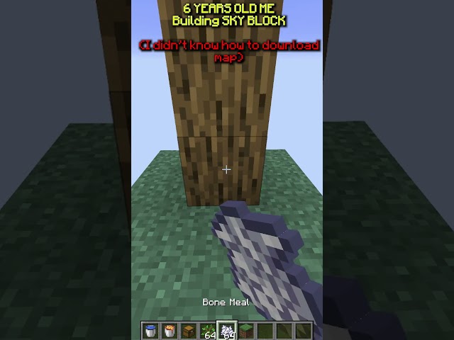 POV: You didn't know how to download maps in 2012 #minecraft #childhood