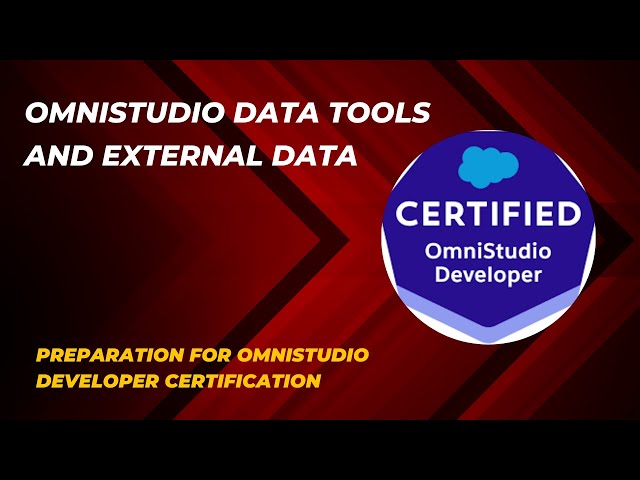 OmniStudio Data Tools and External Data | Challenges 1 & 2