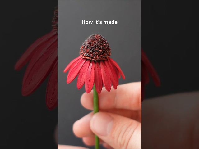 Making Paper Quilling Coneflower