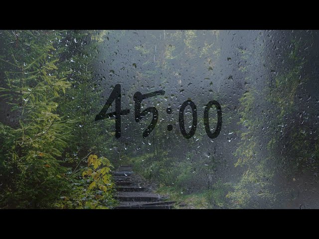 45 Minute timer with rain sounds