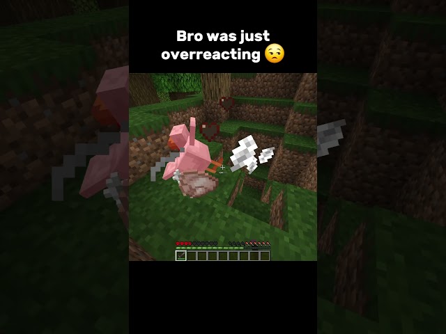🤨 #minecraft