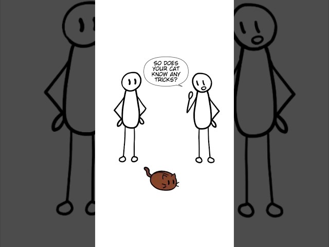Cat Bean - Tricks #shorts